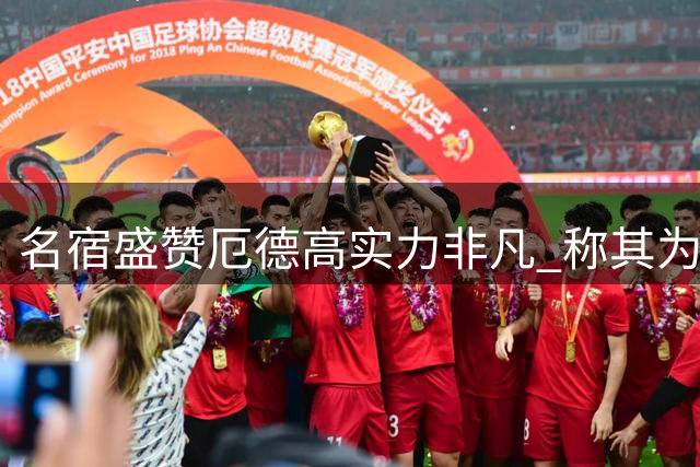 名宿盛赞厄德高实力非凡 称其为英超独一档